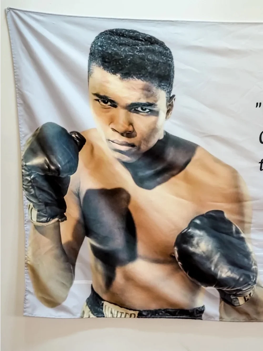 Muhammad Ali Inspirational Quote Wall Banner Tapestry - Black, White, Tan